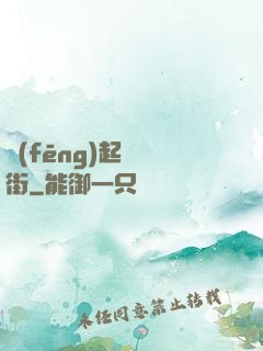 風(fēng)起華爾街
