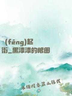 風(fēng)起華爾街