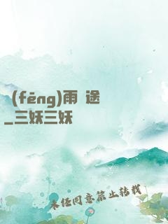 風(fēng)雨歸途