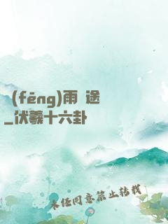 風(fēng)雨歸途
