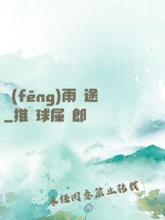 風(fēng)雨歸途