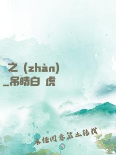 風之戰(zhàn)紀