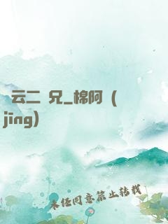風云二師兄