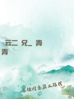 風云二師兄