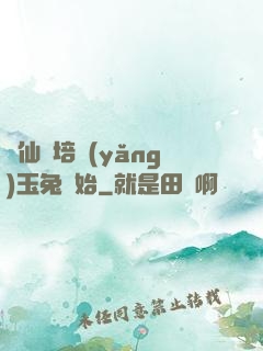 飛仙從培養(yǎng)玉兔開始