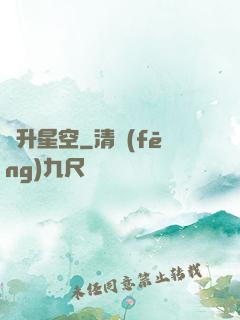 飛升星空