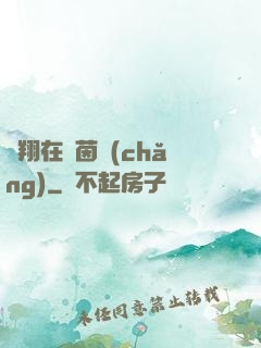 飛翔在綠茵場(chǎng)