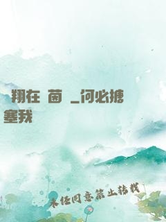 飛翔在綠茵場