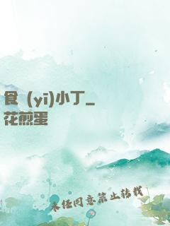 食醫(yī)小丁
