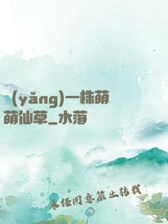 養(yǎng)一株萌萌仙草