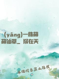養(yǎng)一株萌萌仙草