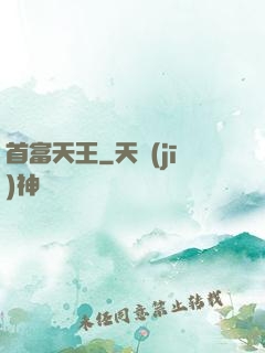 首富天王