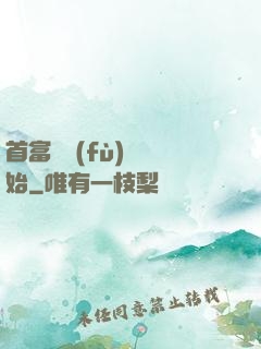 首富從負(fù)債開始