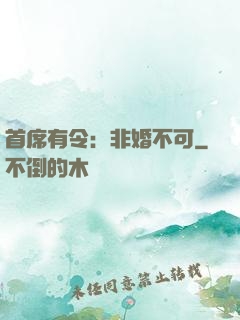首席有令：非婚不可