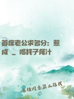 首席老公求名分：惹愛成災
