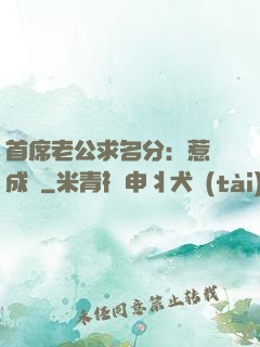 首席老公求名分：惹愛成災