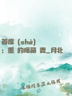 首席設(shè)計師：墨總的暖萌嬌妻