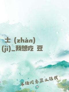 騎士戰(zhàn)紀(jì)