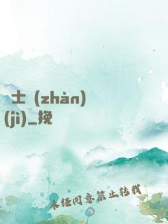 騎士戰(zhàn)紀(jì)