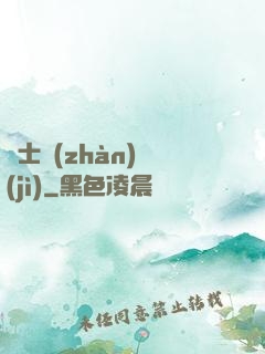 騎士戰(zhàn)紀(jì)