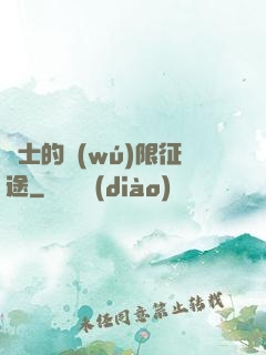 騎士的無(wú)限征途