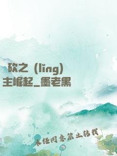 騎砍之領(lǐng)主崛起