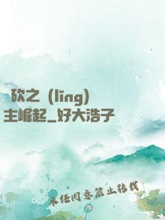 騎砍之領(lǐng)主崛起