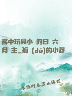 高中玩具小詩的日記六月觀主