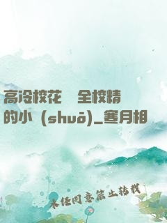高冷?；S為全校精靈的小說(shuō)