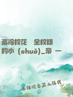 高冷?；S為全校精靈的小說(shuō)