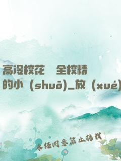 高冷?；S為全校精靈的小說(shuō)