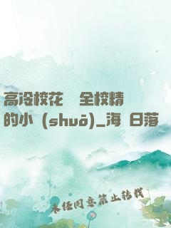 高冷?；S為全校精靈的小說(shuō)