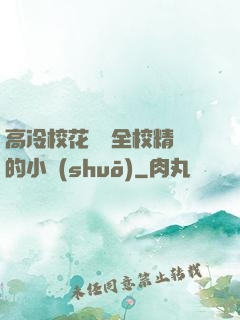 高冷?；S為全校精靈的小說(shuō)