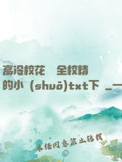 高冷?；S為全校精靈的小說(shuō)txt下載