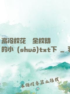 高冷?；S為全校精靈的小說(shuō)txt下載
