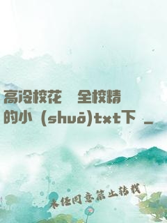 高冷?；S為全校精靈的小說(shuō)txt下載