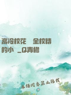 高冷?；S為全校精靈的小說