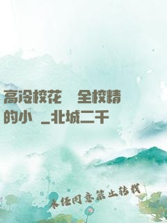 高冷?；S為全校精靈的小說