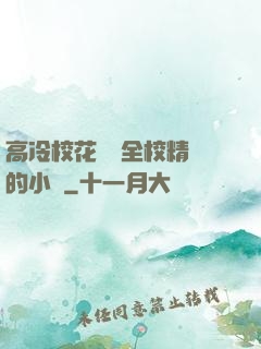 高冷?；S為全校精靈的小說