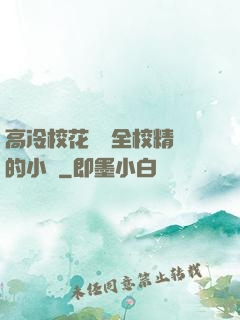 高冷?；S為全校精靈的小說