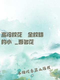 高冷?；S為全校精靈的小說