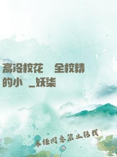 高冷?；S為全校精靈的小說