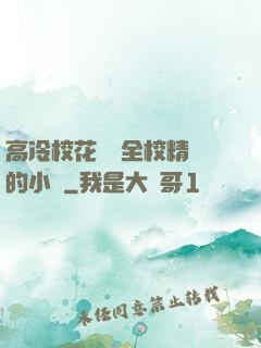 高冷?；S為全校精靈的小說