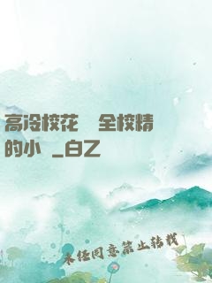 高冷?；S為全校精靈的小說