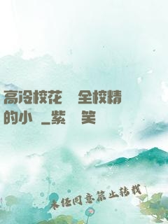 高冷?；S為全校精靈的小說