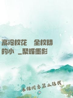 高冷?；S為全校精靈的小說