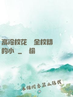 高冷?；S為全校精靈的小說