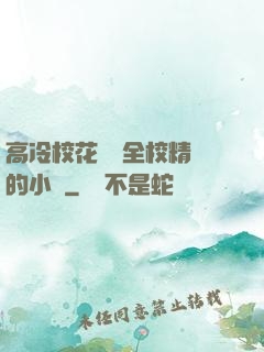 高冷?；S為全校精靈的小說