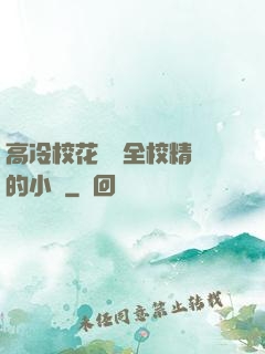高冷?；S為全校精靈的小說