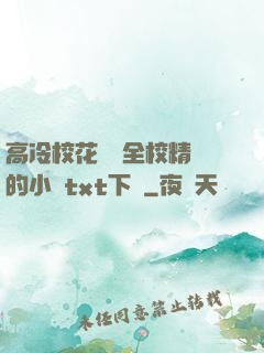 高冷?；S為全校精靈的小說txt下載